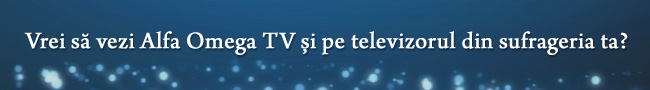 banner_top_site_600x90