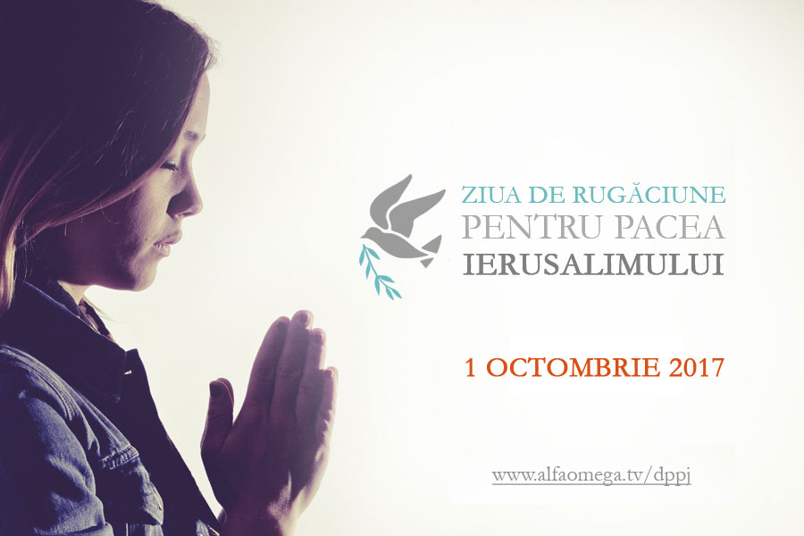 dppj 2017 promo1 900x600