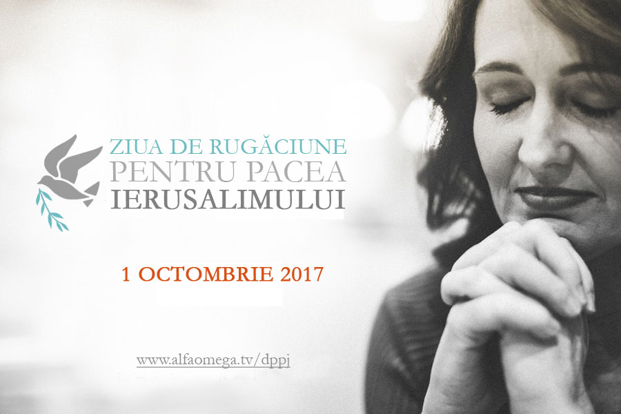 dppj 2017 promo2 900x600