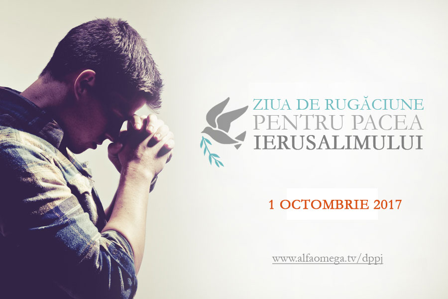 dppj 2017 promo3 900x600