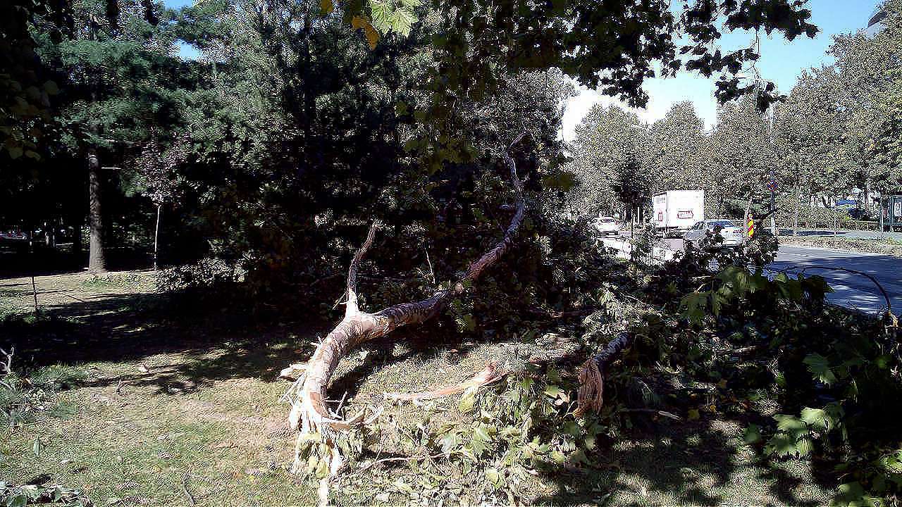 2017 09 furtuna tm 1