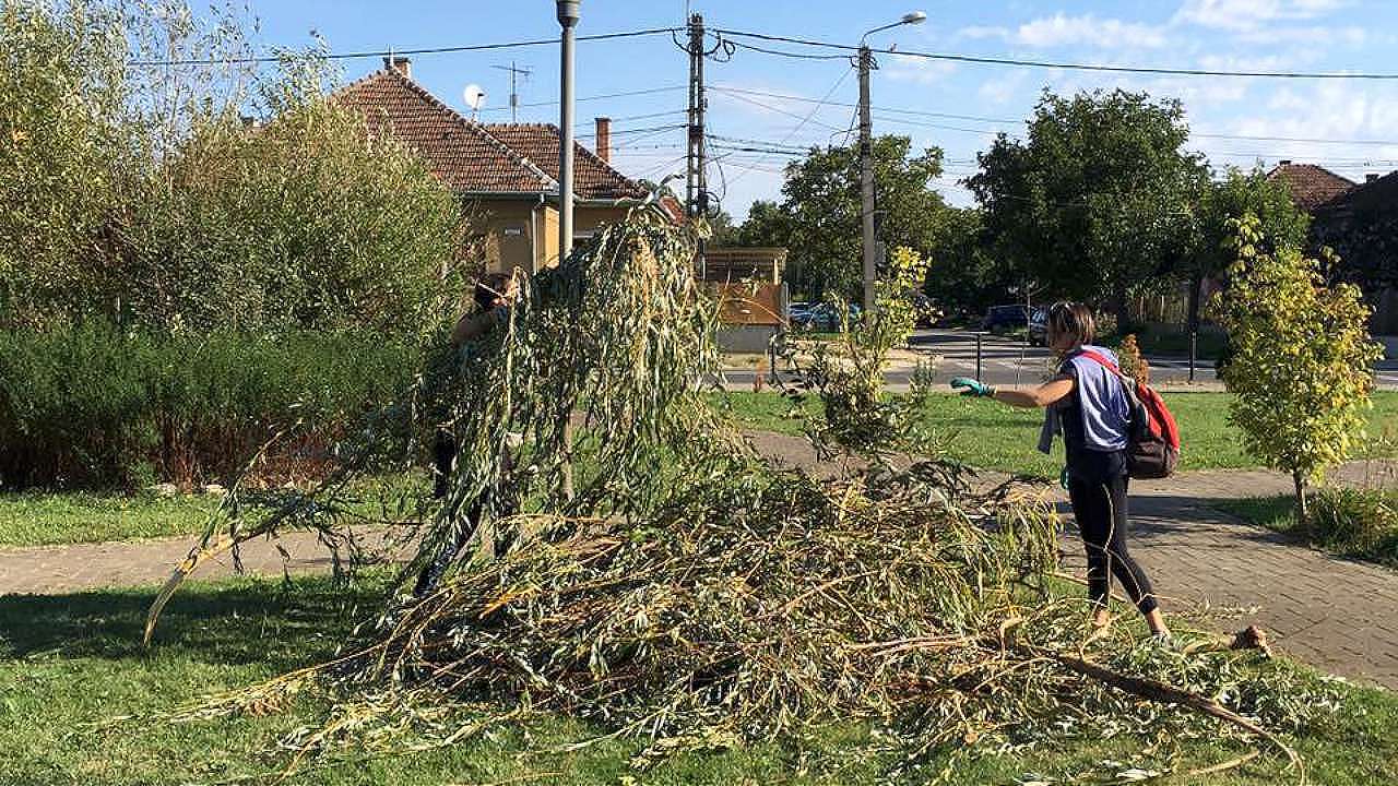 2017 09 furtuna tm 3