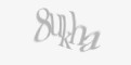 Codul de securitate