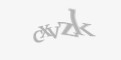 Codul de securitate