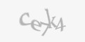 Codul de securitate