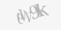 Codul de securitate