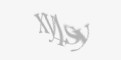 Codul de securitate