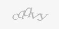 Codul de securitate