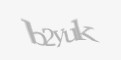 Codul de securitate