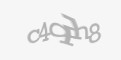 Codul de securitate