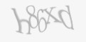 Codul de securitate