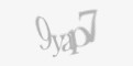 Codul de securitate