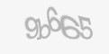 Codul de securitate