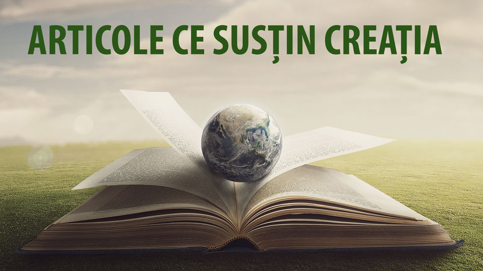 articole sustin creatia