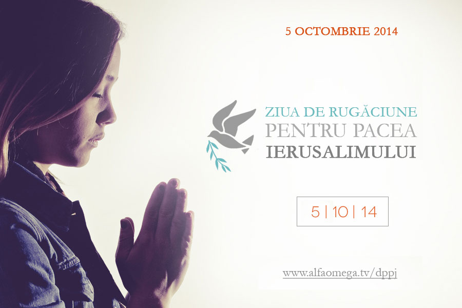 dppj 2014 promo1 900x600 web
