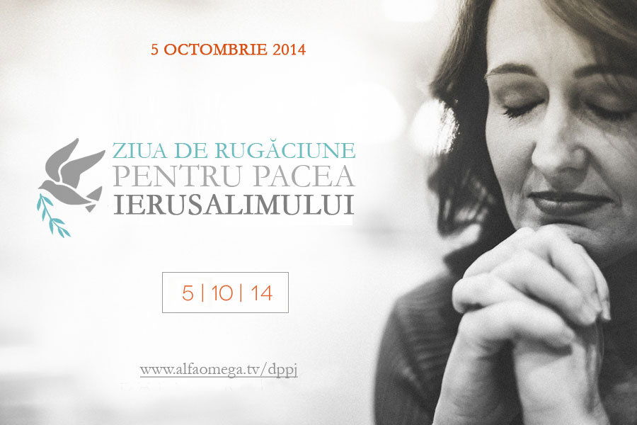dppj 2014 promo2 900x600 web