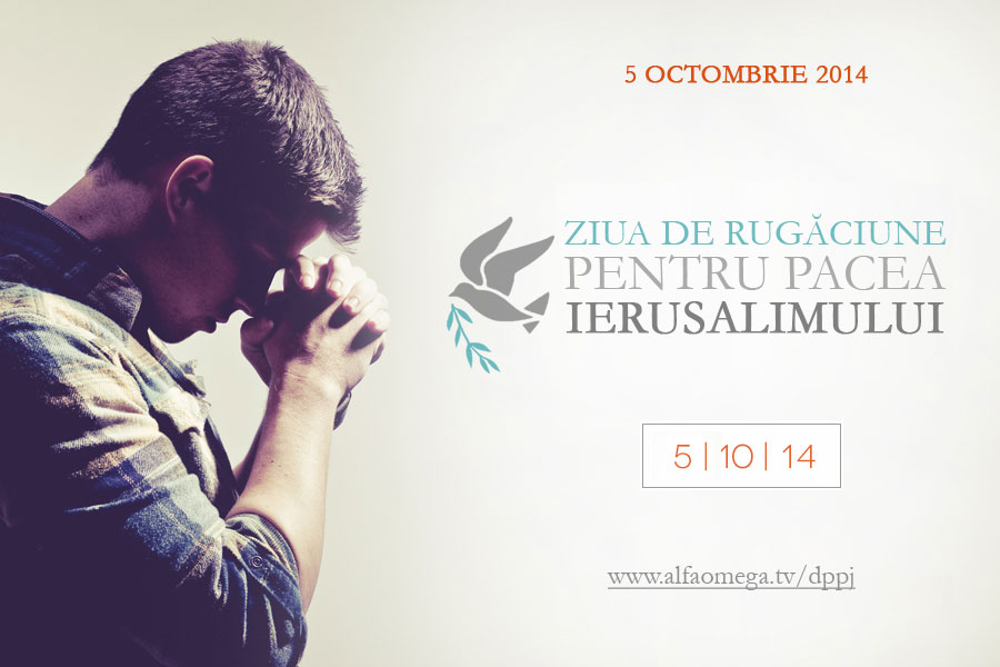 dppj 2014 promo3 900x600 web
