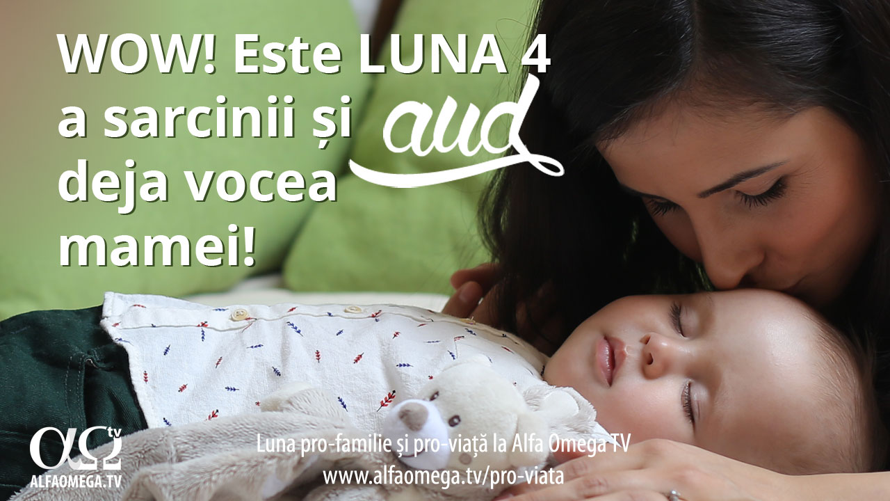 stadii-ale-dezvoltarii-luna-4