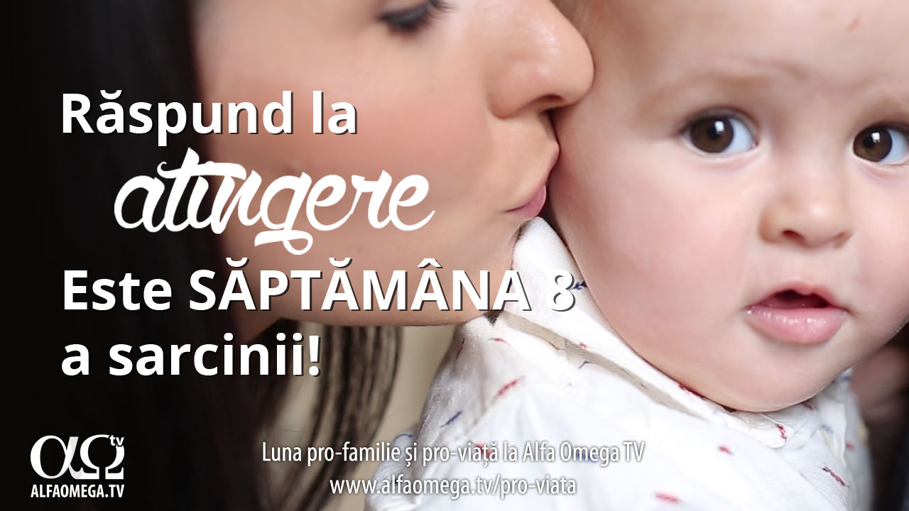 stadii-ale-dezvoltarii-sapt-8