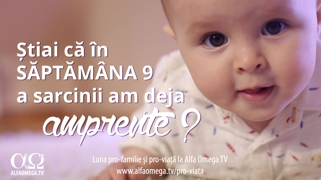 stadii-ale-dezvoltarii-sapt-9