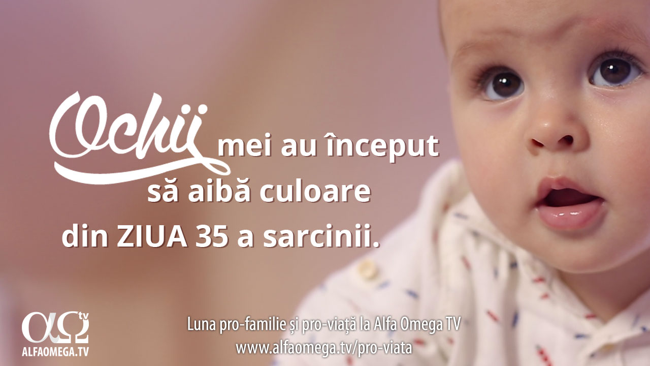 stadii-ale-dezvoltarii-ziua-35