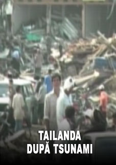 thailanda dupa tsunami