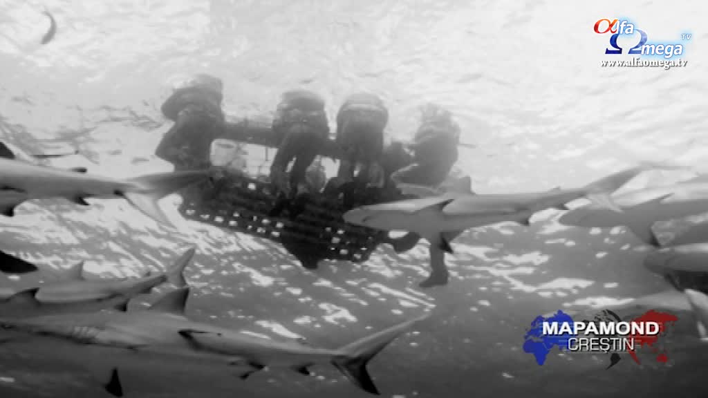 mc 531 edgarharrell razboi 3