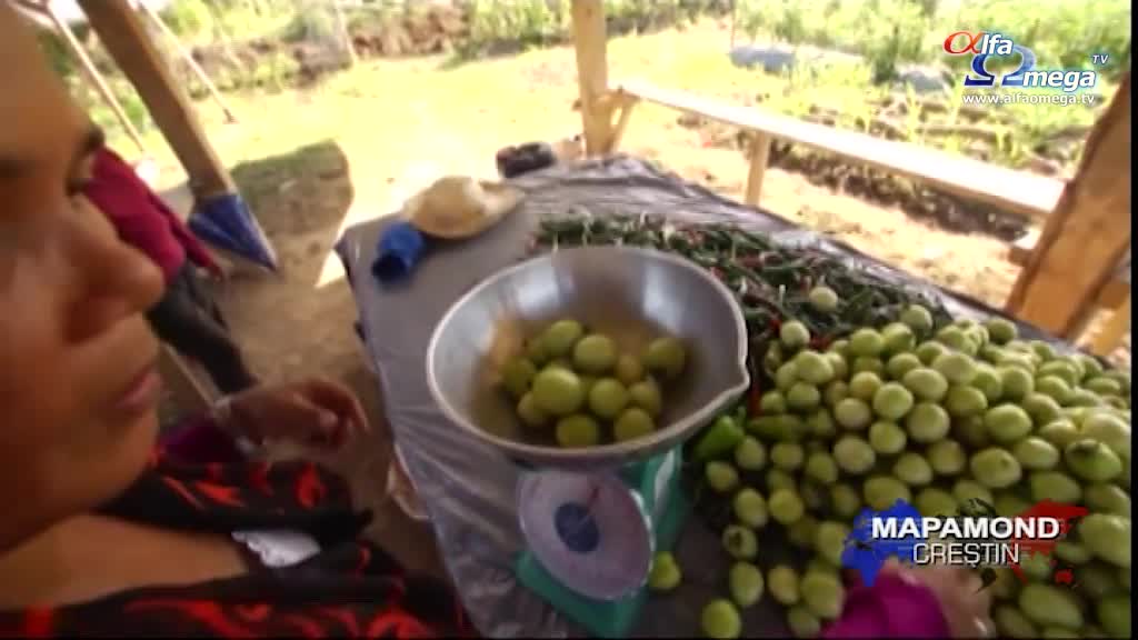 mc 540 agricultura organica 01