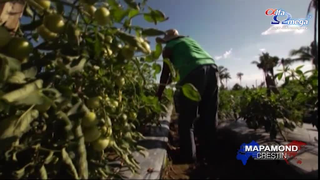 mc 540 agricultura organica 02