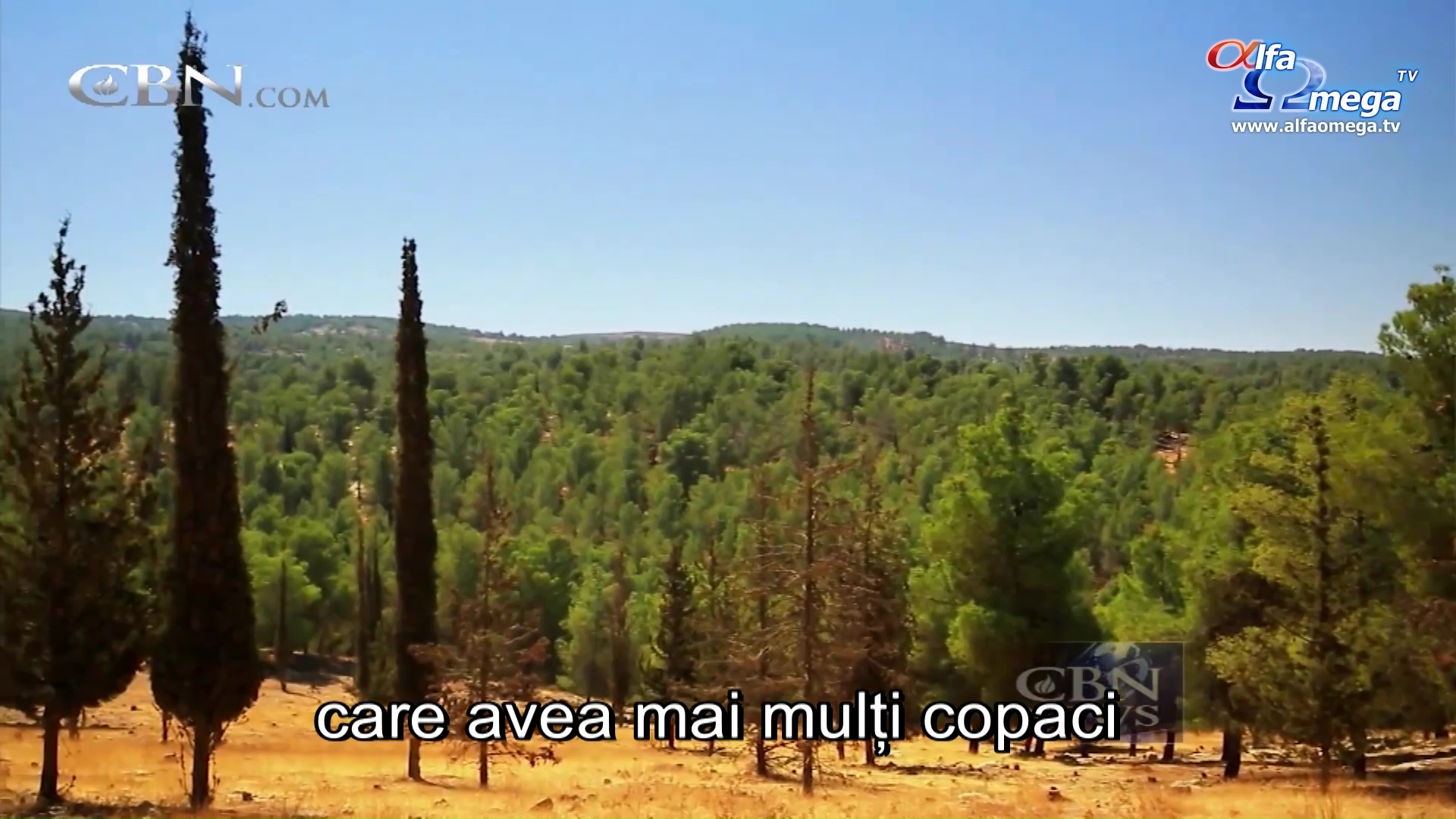 jd 76 israel mediu 03