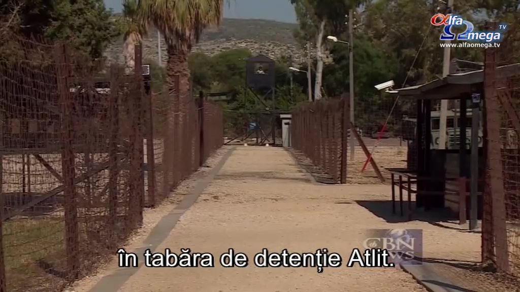 jd 80 marea britanie 02