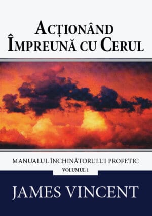 Acționând împreună cu cerul - Vol. 1