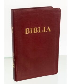 Biblie mare 073 visiniu