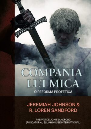 Compania lui Mica