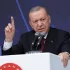 Erdogan acuză Israelul că folosește istoria în scop politic | AO NEWS
