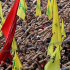 Hezbollah își reconstruiește capacitățile militare cu finanțare iraniană | AO NEWS